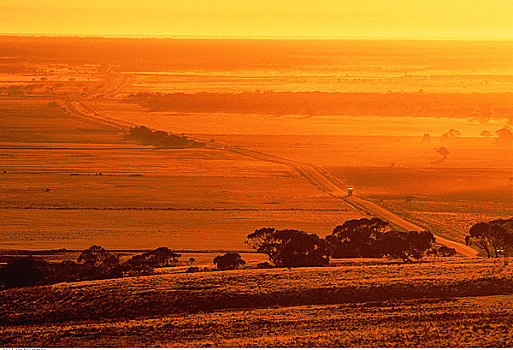 公路,日落,靠近,澳洲南部,澳大利亚