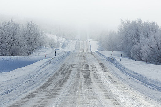 遥控,冰冻,道路,雾,冬天