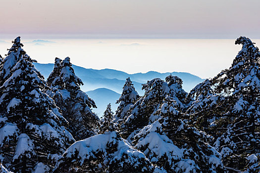 黄山雪景