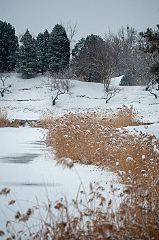 雪后