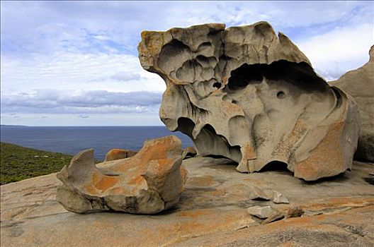 石头,袋鼠,岛屿,南澳大利亚,澳大利亚