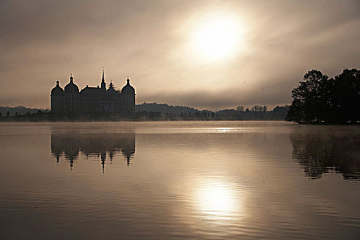 城堡,莫里茨堡,早晨,薄雾,秋天,水塘,萨克森,德国,欧洲