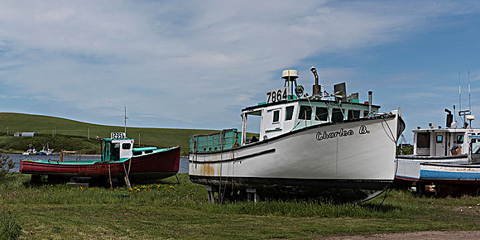 捕鱼,拖船,港口,小路,布雷顿角岛,新斯科舍省,加拿大
