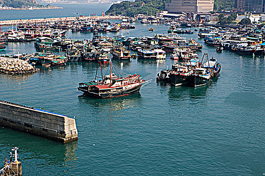 蔽护,香港