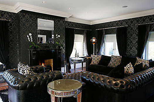 皮革,沙发,正面,壁炉,传统风格,起居室