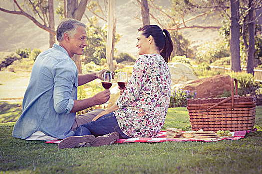 夫妻,享受,野餐,老年,公园,葡萄酒杯