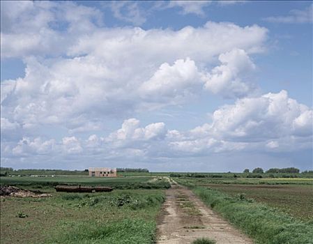 野禽,湿地,信任,风景