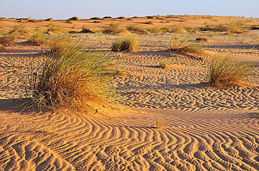 沙子,脊,撒哈拉沙漠,区域,毛里塔尼亚,非洲