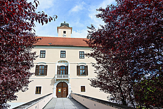 城堡,今日,市政厅,维也纳,木头,下奥地利州,奥地利
