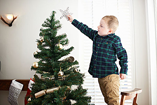 男孩,站立,椅子,地点,星,圣诞树