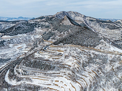 济南彩西路雪景雾凇