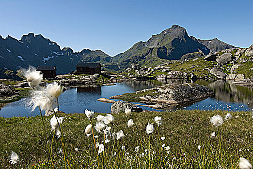 挪威,罗浮敦群岛,区域,湖,前景