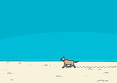 狗,走,海滩