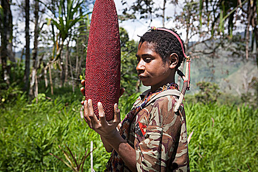 水果,巴布亚新几内亚