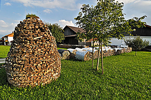 一堆,木头,巴伐利亚,德国,欧洲