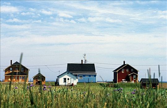 魁北克,马格达伦群岛,岛屿,木屋,绿色植物,草,正面