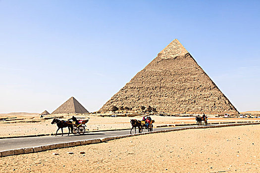 马拉,手推车,正面,金字塔,吉萨金字塔,埃及