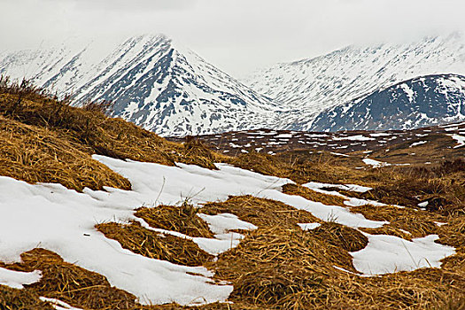 风景,积雪,山