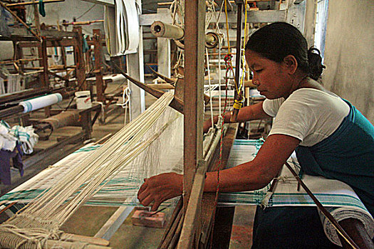 女人,种族,编织,中心,阿萨姆邦,印度,十月,2009年