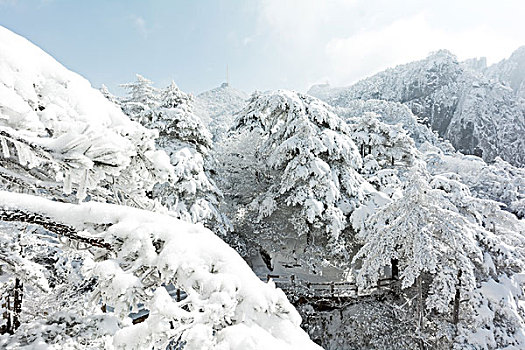 雪景,黄山