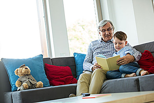 爷爷,孙子,读,书本,沙发,客厅