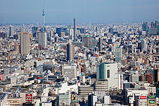日本,东京,新宿,天际线,市政厅