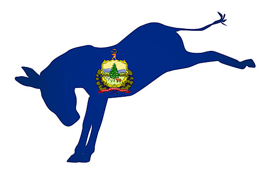 佛蒙特州,民主党,驴,旗帜