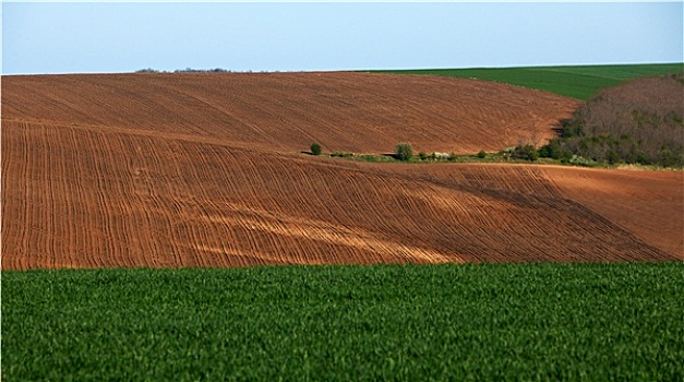 农田,保加利亚