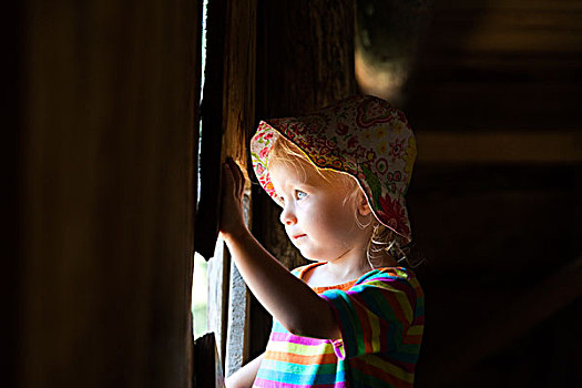 幼儿,向外看,窗,树林,黑森林,德国,欧洲