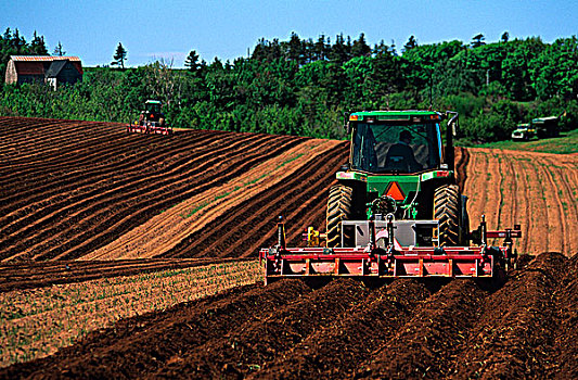 耕作,马铃薯,种植,法国河,爱德华王子岛,加拿大