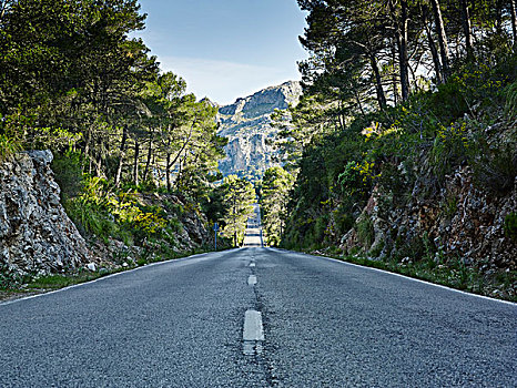 道路,山,马略卡岛,西班牙