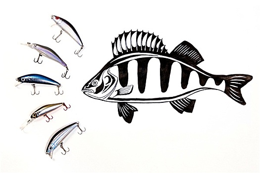 不同,种类,钓鱼,塑料制品,墨水,绘画,鱼,白色背景