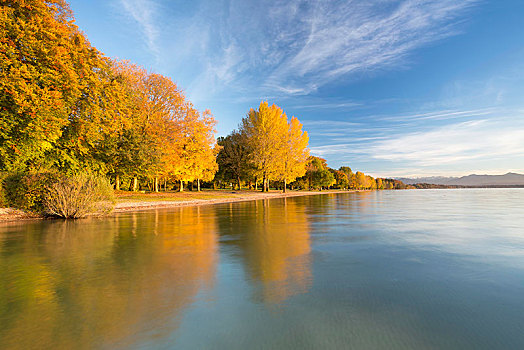 秋天,施塔恩贝格湖,靠近,巴伐利亚,德国,欧洲