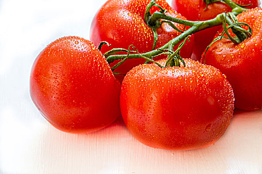 西红柿,藤蔓