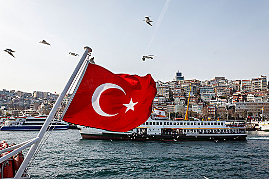 土耳其,旗帜,乘客,渡轮,海鸥,博斯普鲁斯海峡,伊斯坦布尔