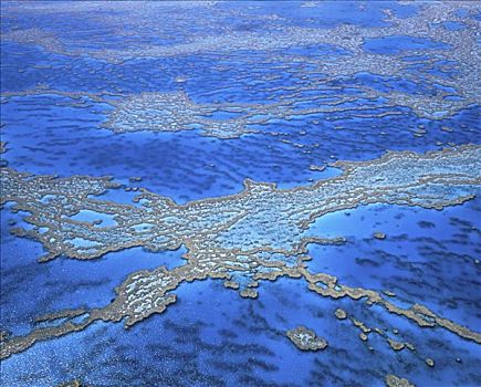 大堡礁,澳大利亚