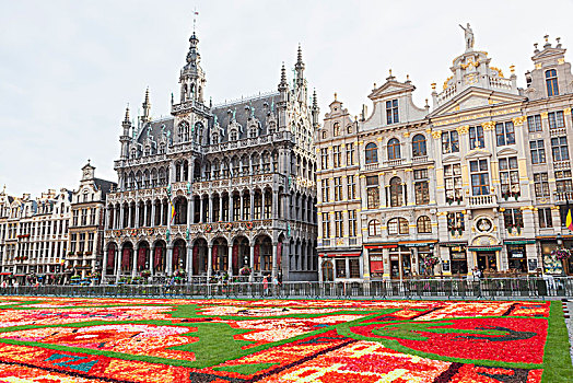 比利时,布鲁塞尔,大广场,花,地毯,节日