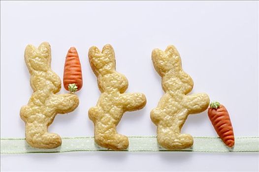 搞笑,兔子,饼干,胡萝卜
