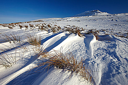 英格兰,北约克郡,雪,遮盖,落下,约克郡谷地,一个,约克郡,三个山峰,冬天