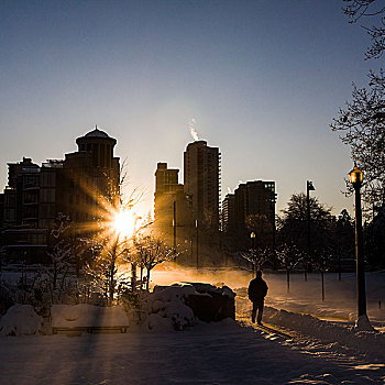 男人,走,雪,城市,公园,太阳,发光,温哥华,加拿大