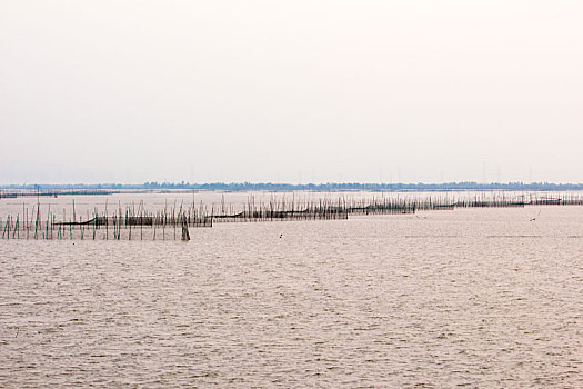 江门银湖湾湿地风光