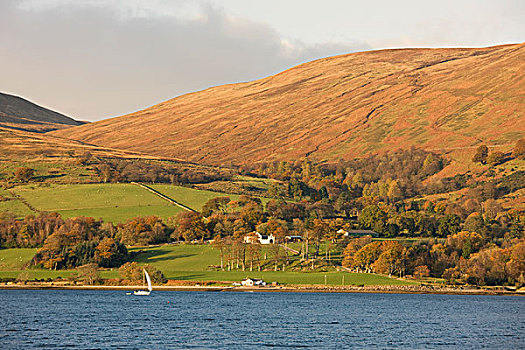 帆船,水,阿盖尔郡,苏格兰