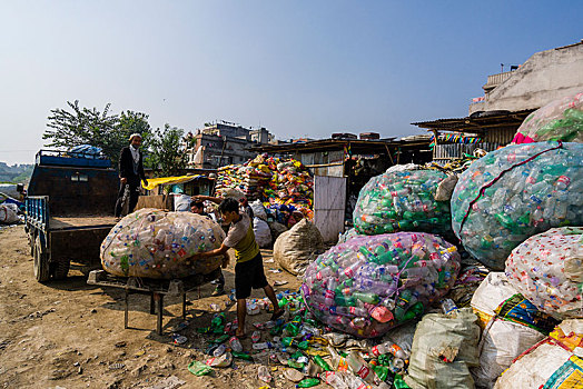 人,收集,空,塑料瓶,加德满都,尼泊尔,亚洲