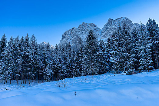 德国,巴伐利亚,巴伐利亚阿尔卑斯山,冬天,阿尔卑斯峰,背景