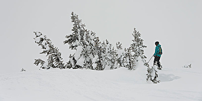 旅游,滑雪,雪,山,惠斯勒,不列颠哥伦比亚省,加拿大