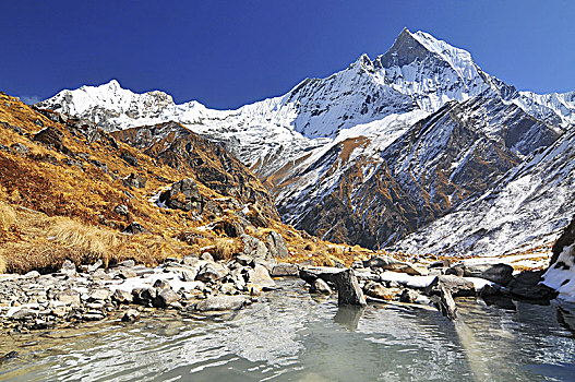 安纳普尔纳峰,保护区,跋涉,露营,尼泊尔,喜马拉雅山
