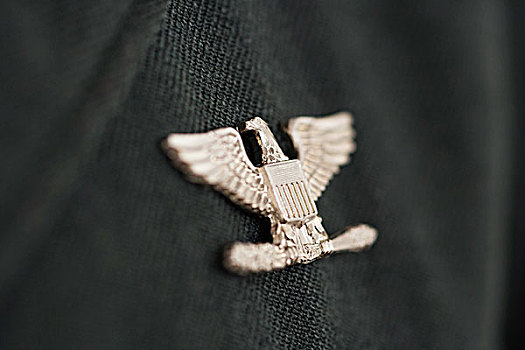 徽标,鹰,军事,徽章