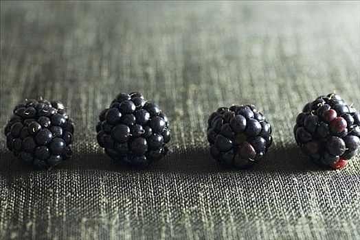四个,黑莓,排列