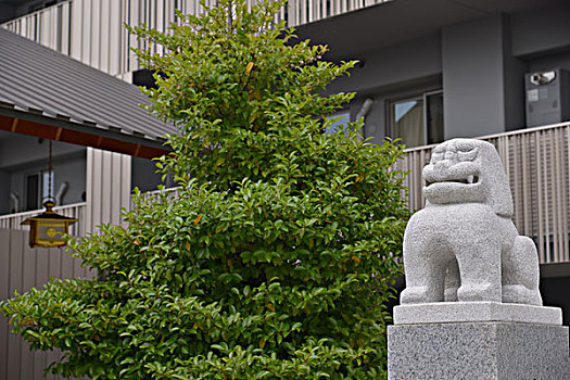 神社,咖啡