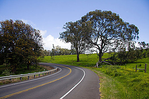 漂亮,扭曲,道路,哈雷阿卡拉火山,公路,毛伊岛